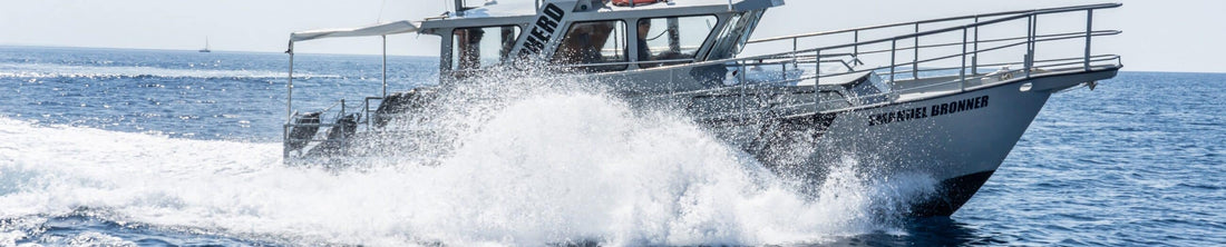 All-One Activist: Alex Cornelissen of Sea Shepherd Global